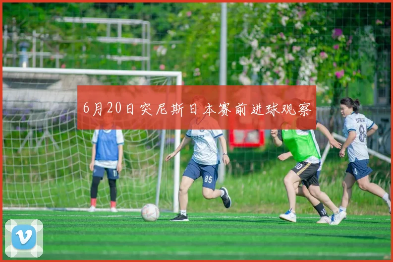 6月20日突尼斯日本赛前进球观察