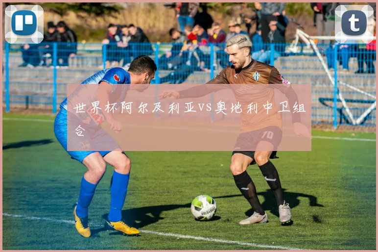 世界杯阿尔及利亚vs奥地利中卫组合